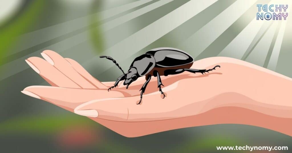 Spiritual Meaning of Black Beetle Landing on You