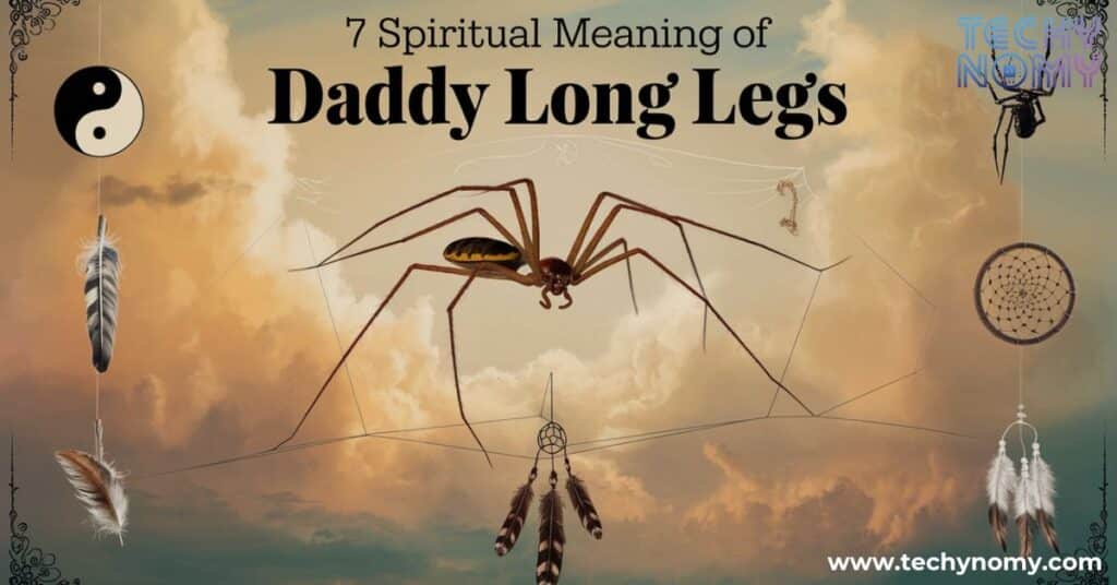 Spiritual Meaning of Daddy Long Legs