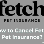 How to Cancel Fetch Pet Insurance