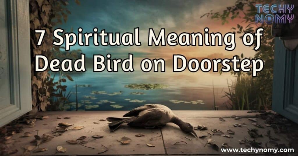 Spiritual Meaning of Dead Bird on Doorstep