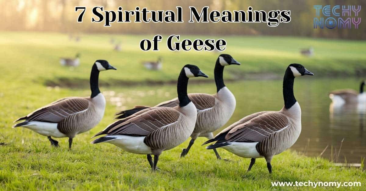 Spiritual Meaning of Geese