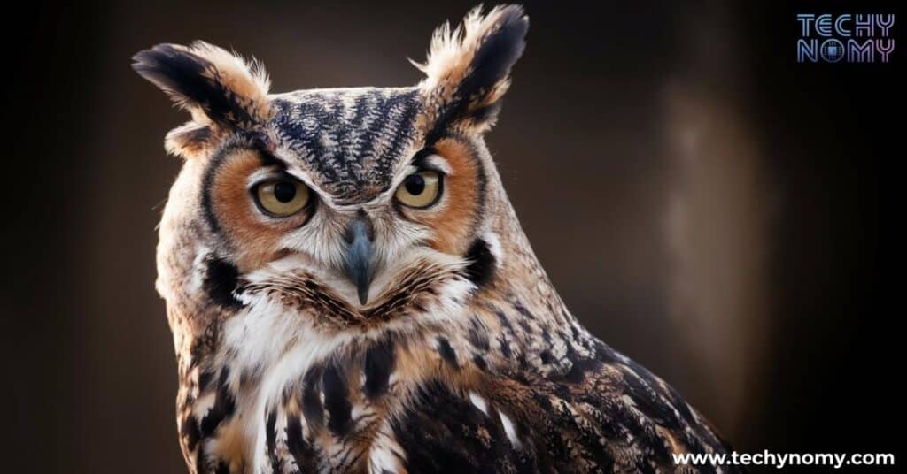 Spiritual Meaning of Owl Hooting at Night