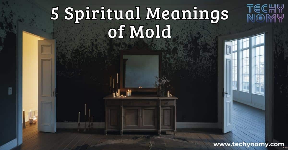 5 Spiritual Meanings of Mold