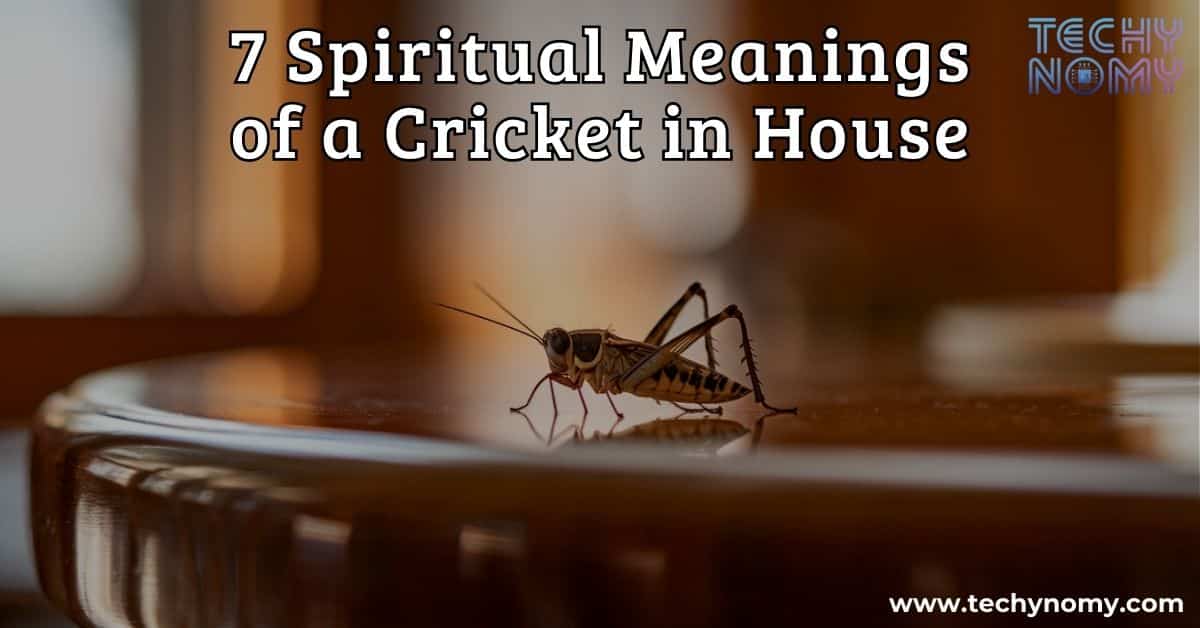 Spiritual Meanings of a Cricket in House