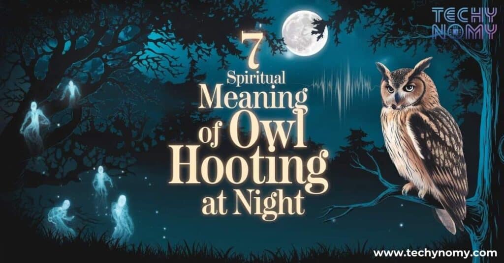 Spiritual Meaning of Owl